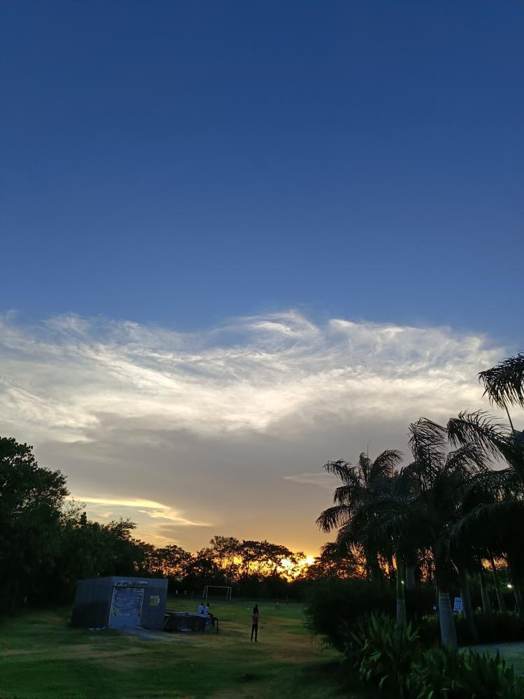 Evening Glow in the Park