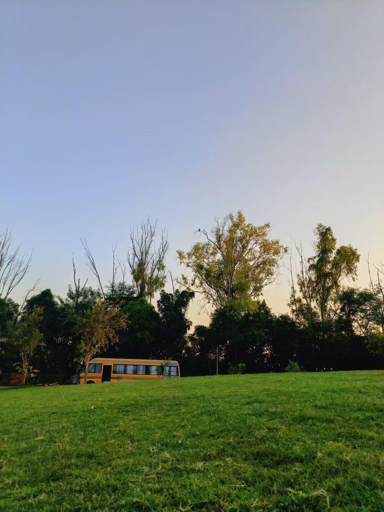 Quiet on the Hillside