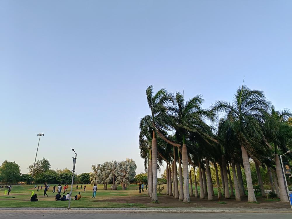 Windy Day at the Park